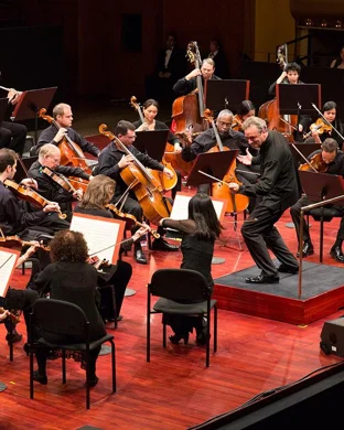 Lord of The Rings & The Hobbit In Concert Raleigh