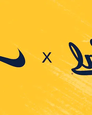 California Golden Bears Raleigh