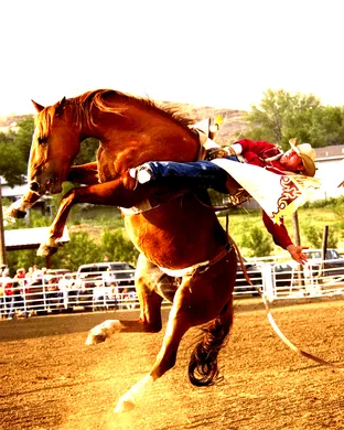 Rodeo Raleigh