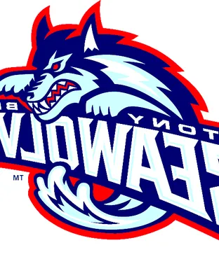 Stony Brook Seawolves Football Buies Creek