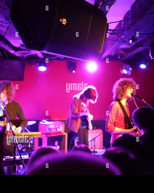 Temples Carrboro