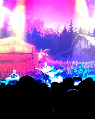 Tyler Childers Durham