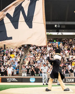 Wake Forest Demon Deacons Baseball Durham