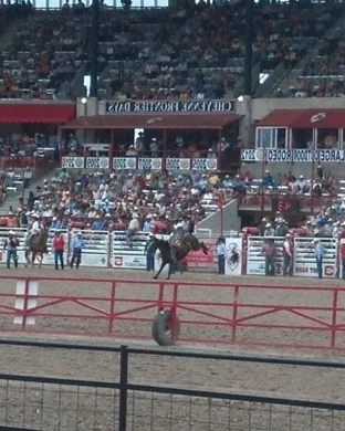 Draft Horse Pull Raleigh