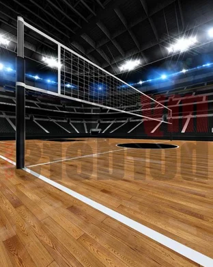 Kentucky Wildcats Women's Volleyball Lexington
